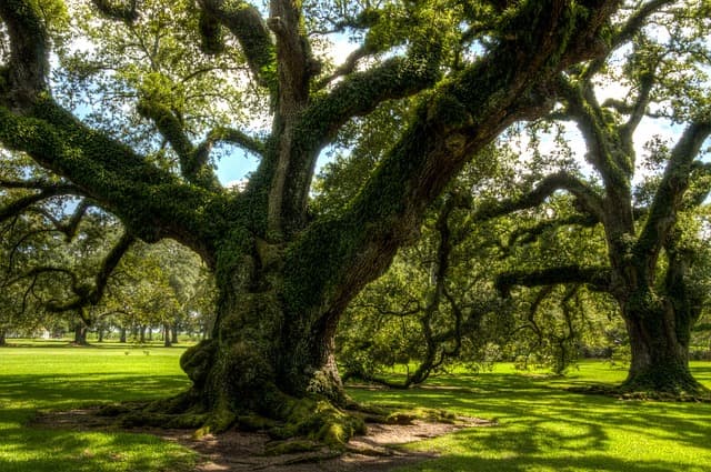 Louisiana